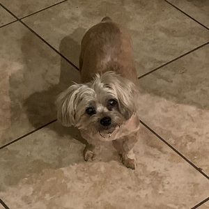 Meet your Posher, Ty